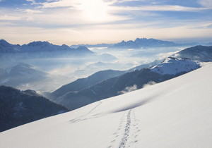 《国家与革命》：用阶级视角拆透“国家本质”，读懂革命逻辑的思想工具 | 爱阅读