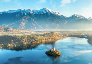 《花的智慧》：一株野花里的生命哲学，照见人类的自大与谦卑 | 爱阅读