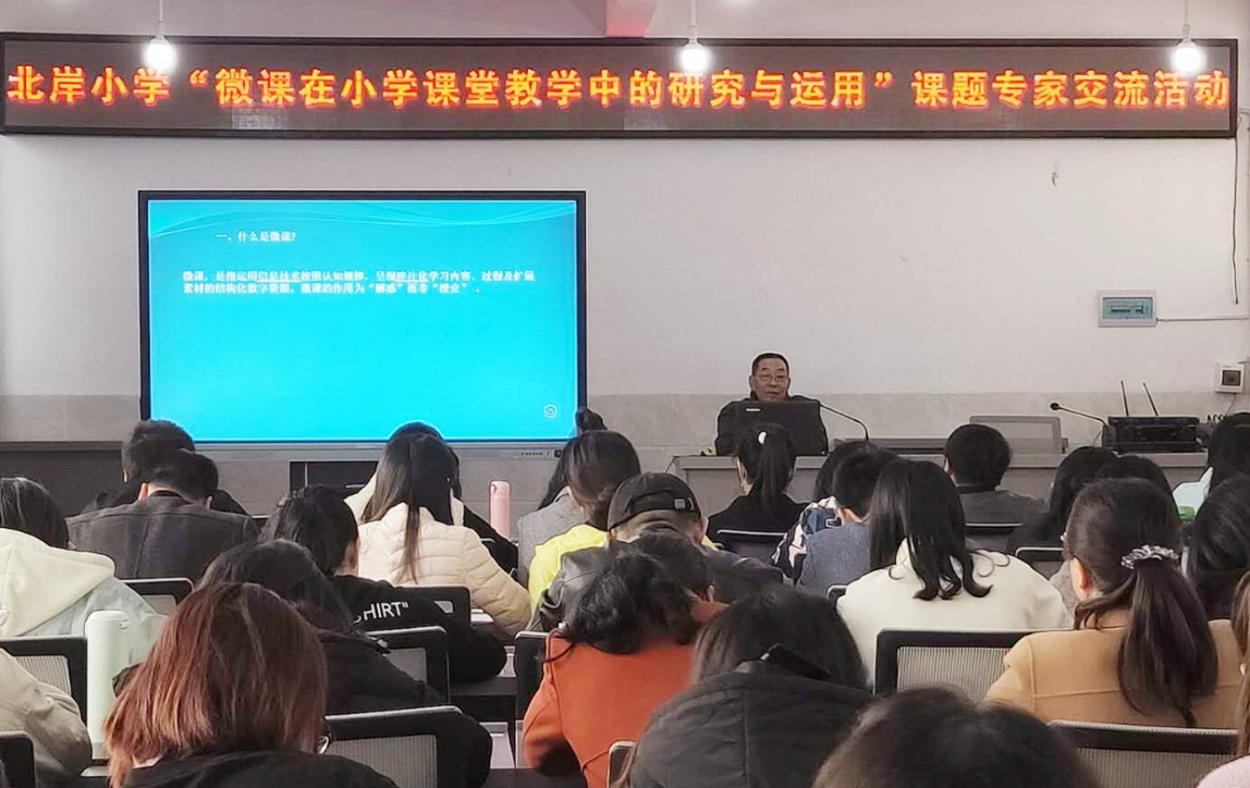 【北岸简讯2020年第40期：专家培训指导 微课赋能课堂】图3