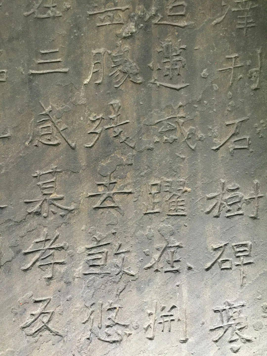 爨龙颜：南中雄狮的传奇一生