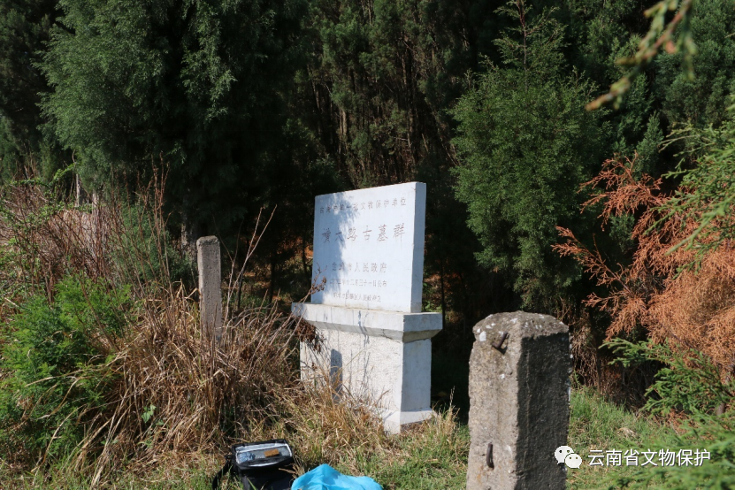 青铜密码与红土传奇：曲靖麒麟横大路古墓群的文化密码与生态智慧
