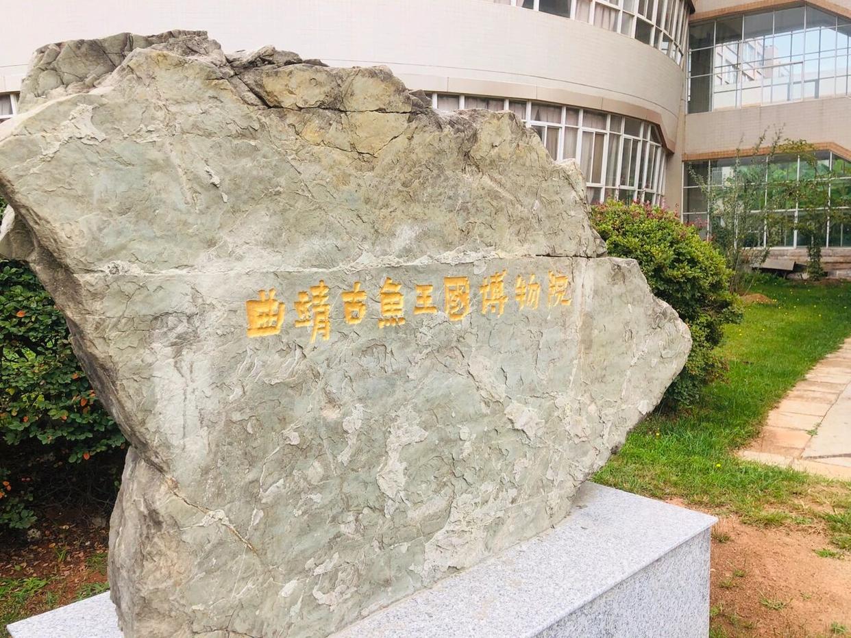 曲靖古鱼王国：探秘4亿年前的生命密码