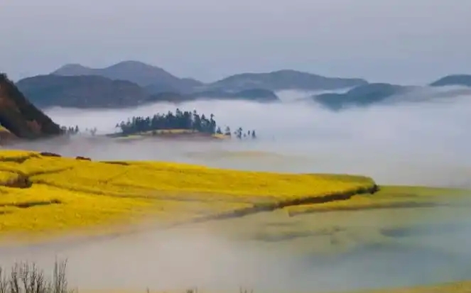 曲靖：世界最大自然花园记