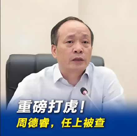 周德睿被查：一位“网红官员”的双面人生与政治警示 - 副本