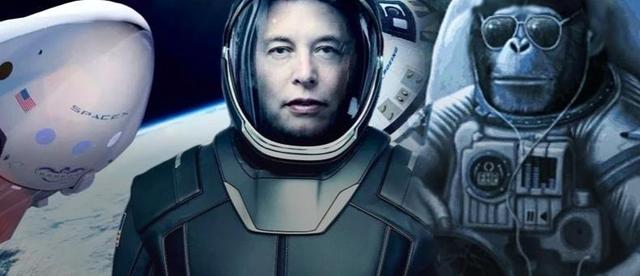 “榜一大哥”马斯克创业历程记